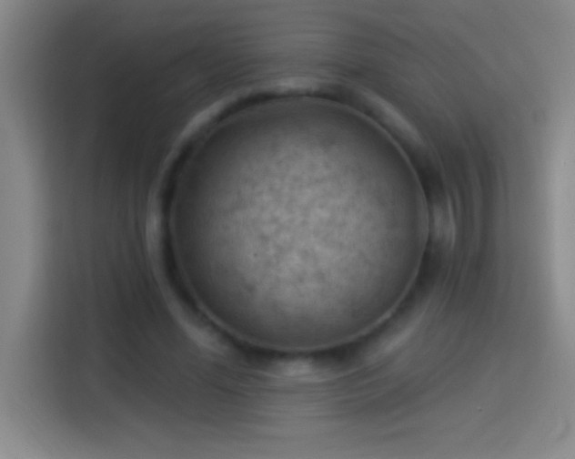 X0000113900588200910011344