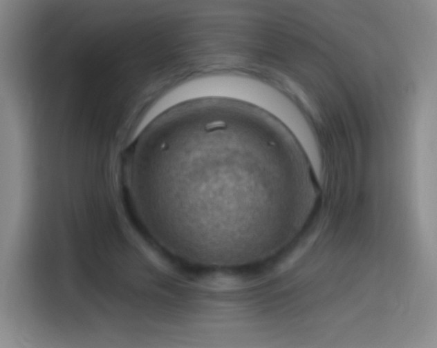 X0000113900589200910011344