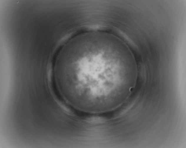 X0000113900590200910011344