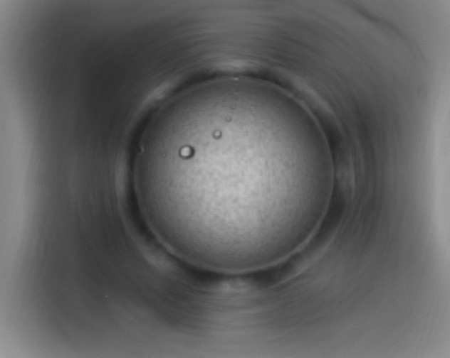 X0000113900591200910011344