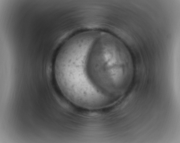 X0000113900592200910011344