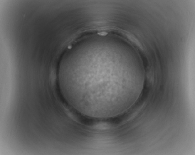 X0000113900593200910011344