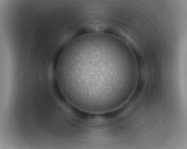 X0000113900594200910011344