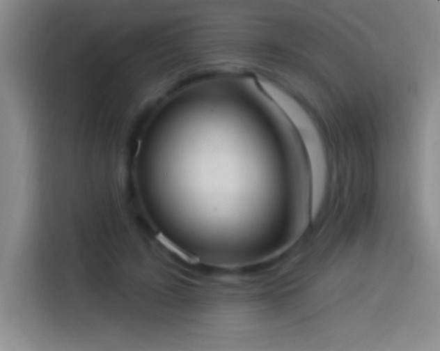 X0000113900595200910011344