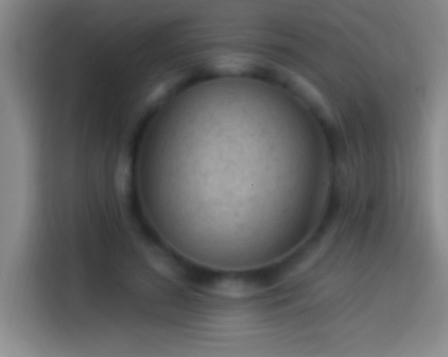 X0000113900596200910011344