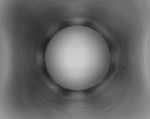 X0000113900599200910011344