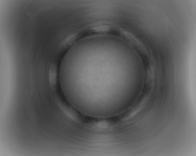 X0000113900600200910011344