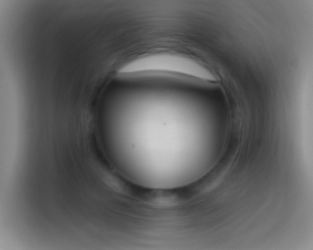 X0000113900601200910011344