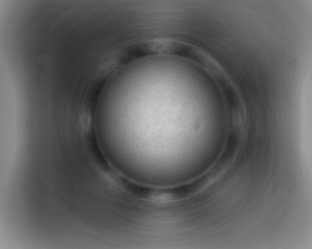 X0000113900602200910011344