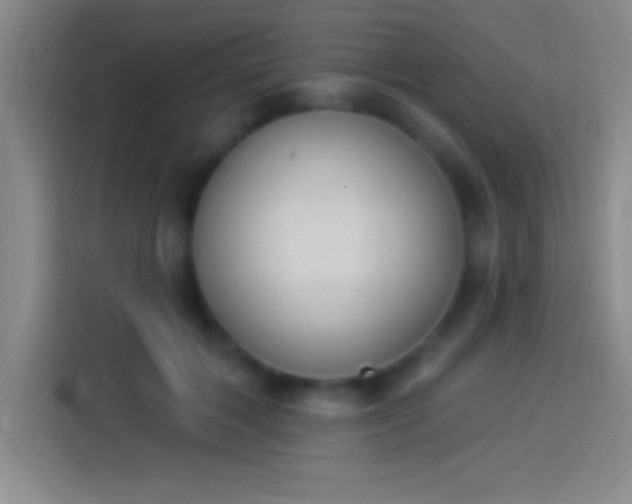 X0000113900603200910011344