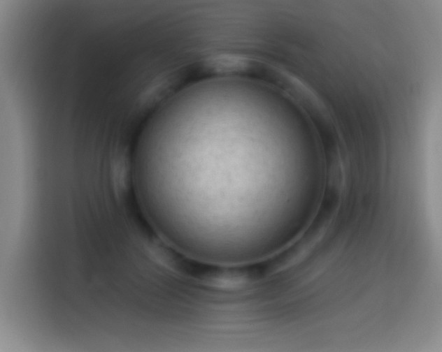 X0000113900604200910011344