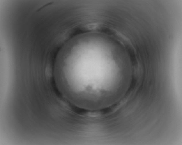 X0000113900606200910011344