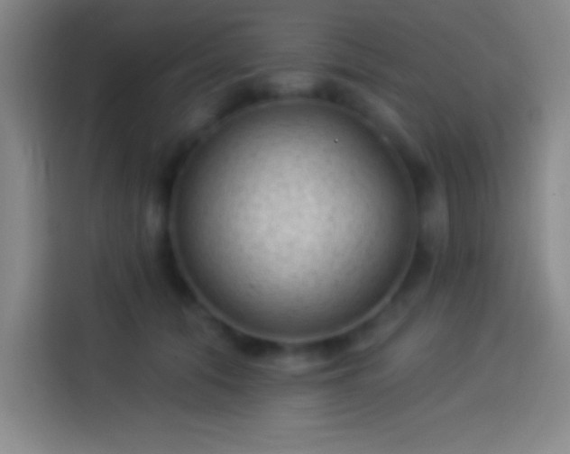 X0000113900608200910011344