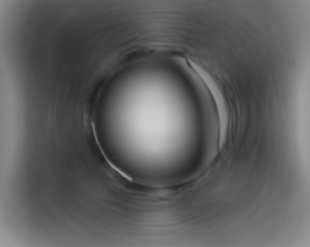 X0000113900609200910011344