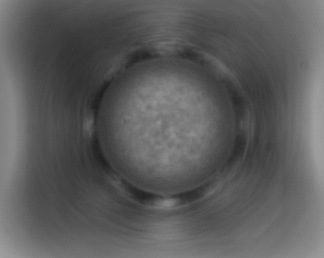 X0000113900610200910011344