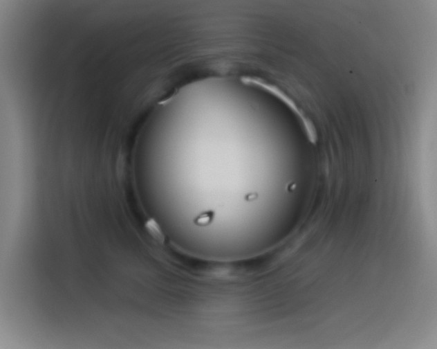 X0000113900611200910011344