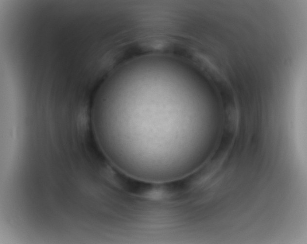 X0000113900612200910011344