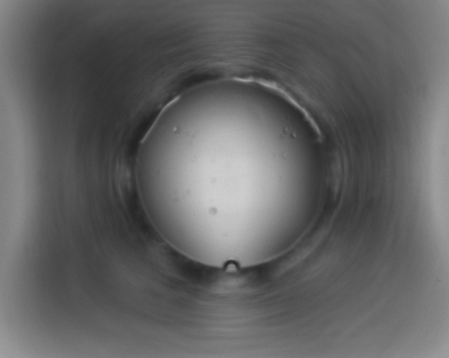 X0000113900613200910011344