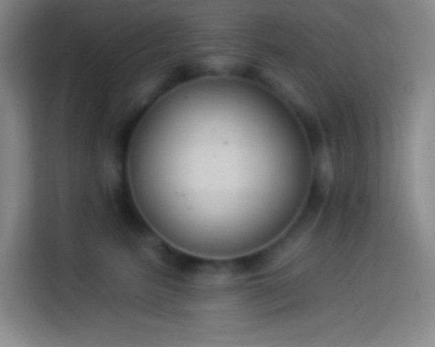 X0000113900615200910011344