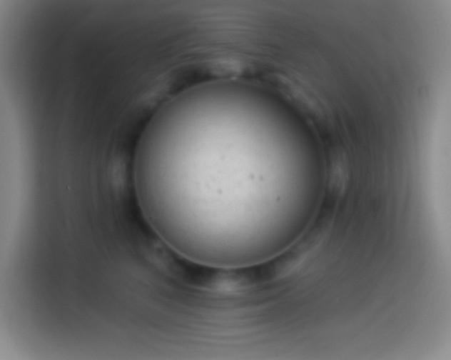 X0000113900616200910011344