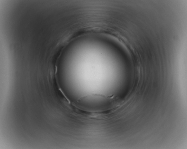 X0000113900617200910011344