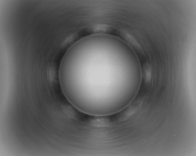 X0000113900619200910011344