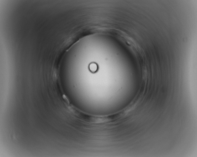 X0000113900621200910011344