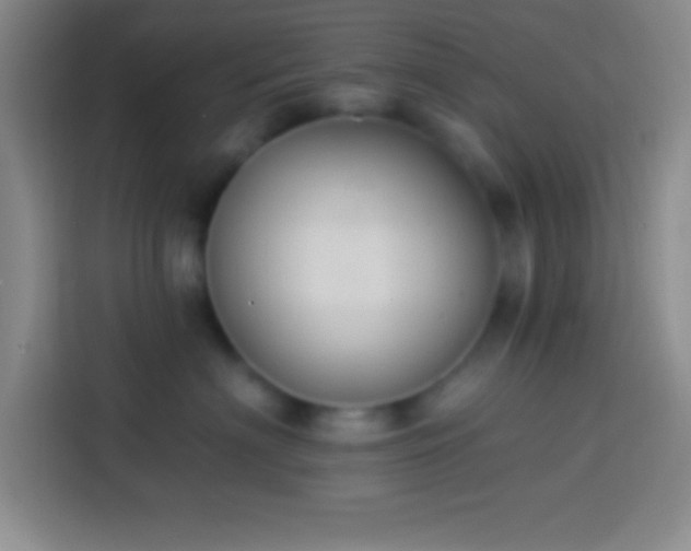 X0000113900622200910011344