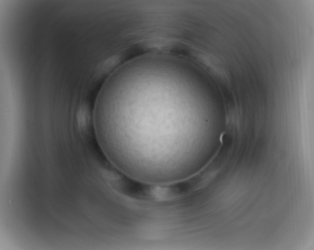 X0000113900623200910011344