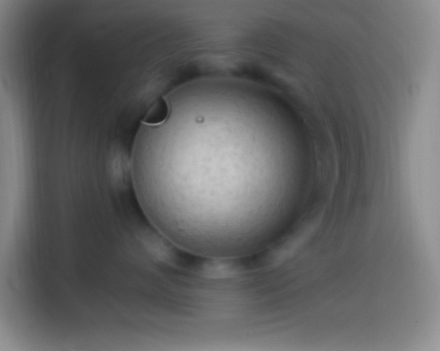 X0000113900624200910011344