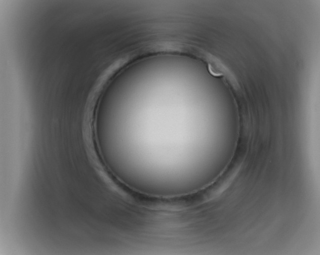 X0000113900625200910011343