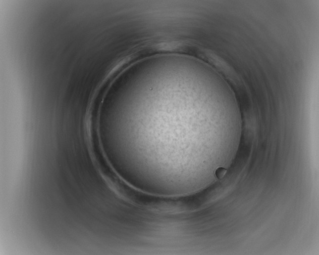 X0000113900626200910011343