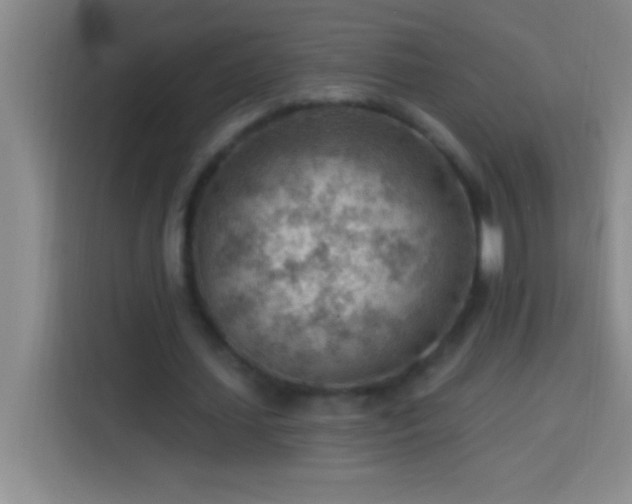 X0000113900627200910011343