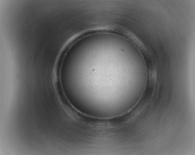 X0000113900628200910011343