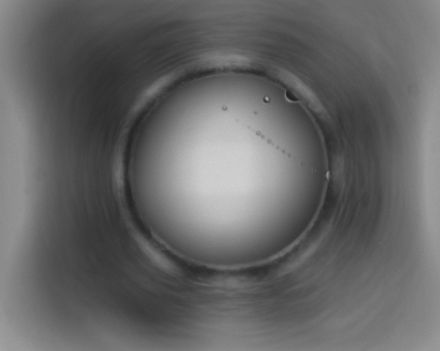 X0000113900629200910011343