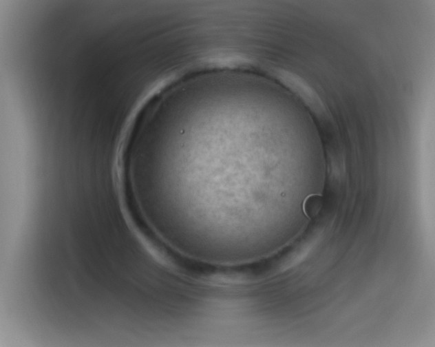 X0000113900630200910011343