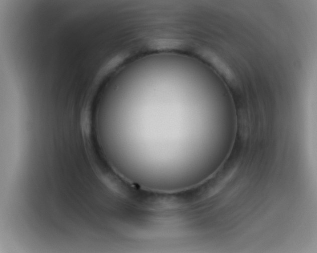 X0000113900631200910011343