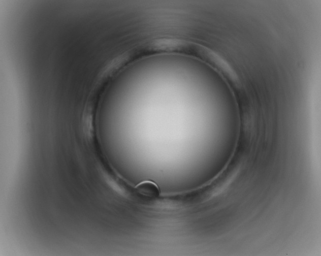 X0000113900633200910011343