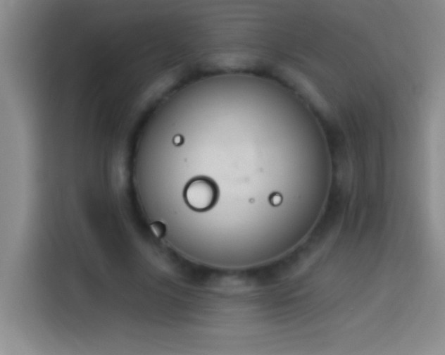 X0000113900635200910011343