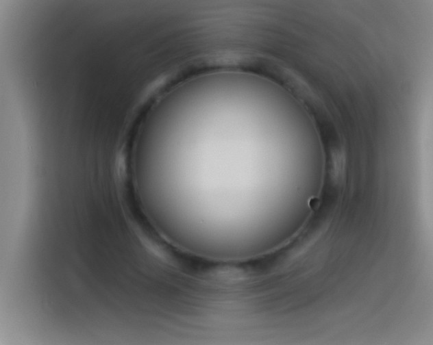 X0000113900636200910011343