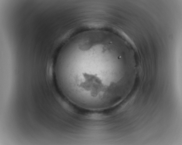 X0000113900637200910011343