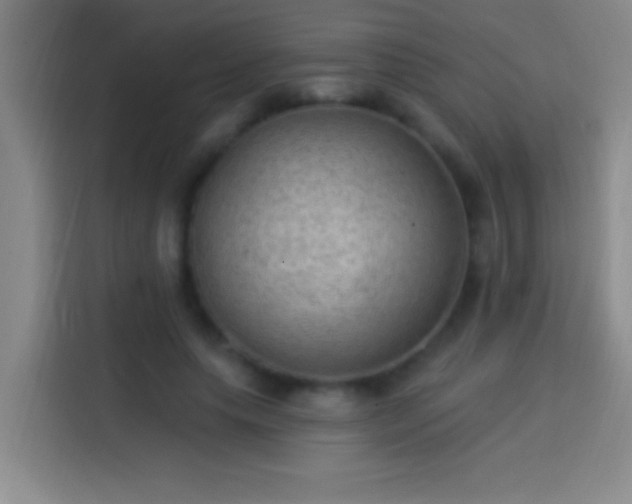 X0000113900639200910011343