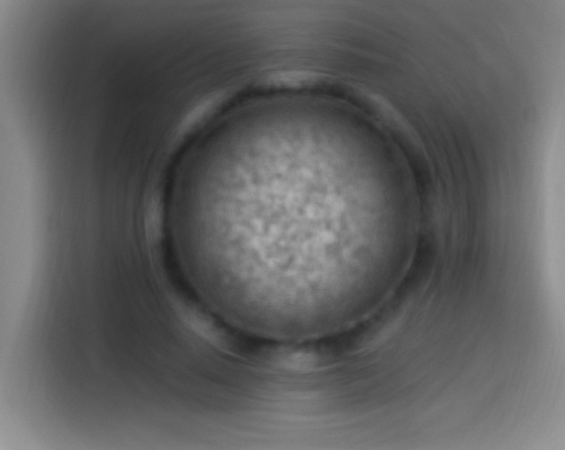 X0000113900640200910011343