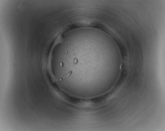 X0000113900642200910011343