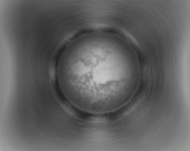 X0000113900644200910011343