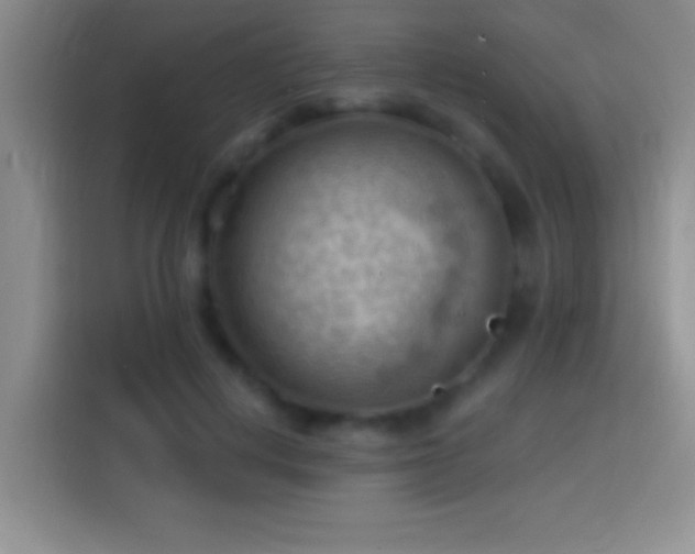 X0000113900648200910011343