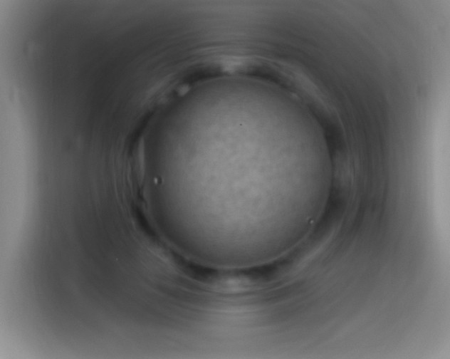 X0000113900650200910011343