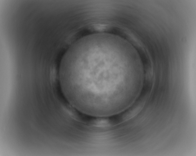 X0000113900651200910011343