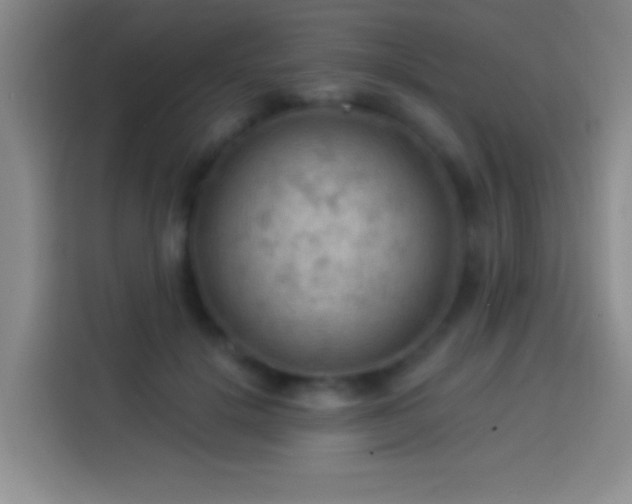 X0000113900652200910011343