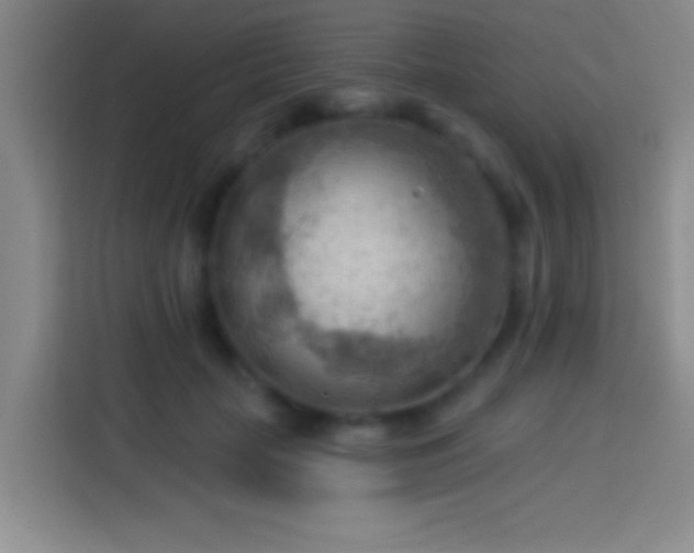 X0000113900653200910011344